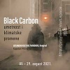  Black Carbon: umetnost i klimatske promene
