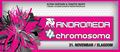 Andromeda__Chromosome_Flayer_front