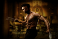 The-Wolverine